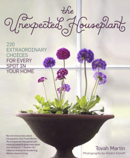 Martin The Unexpected Houseplant: 220 Extraordinary Choices for Every Spot in Your Home