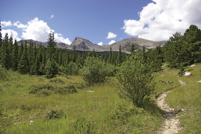 Continental Divide from Buchanan Pass Trail at mile 36 Hike 31 Because the - photo 6