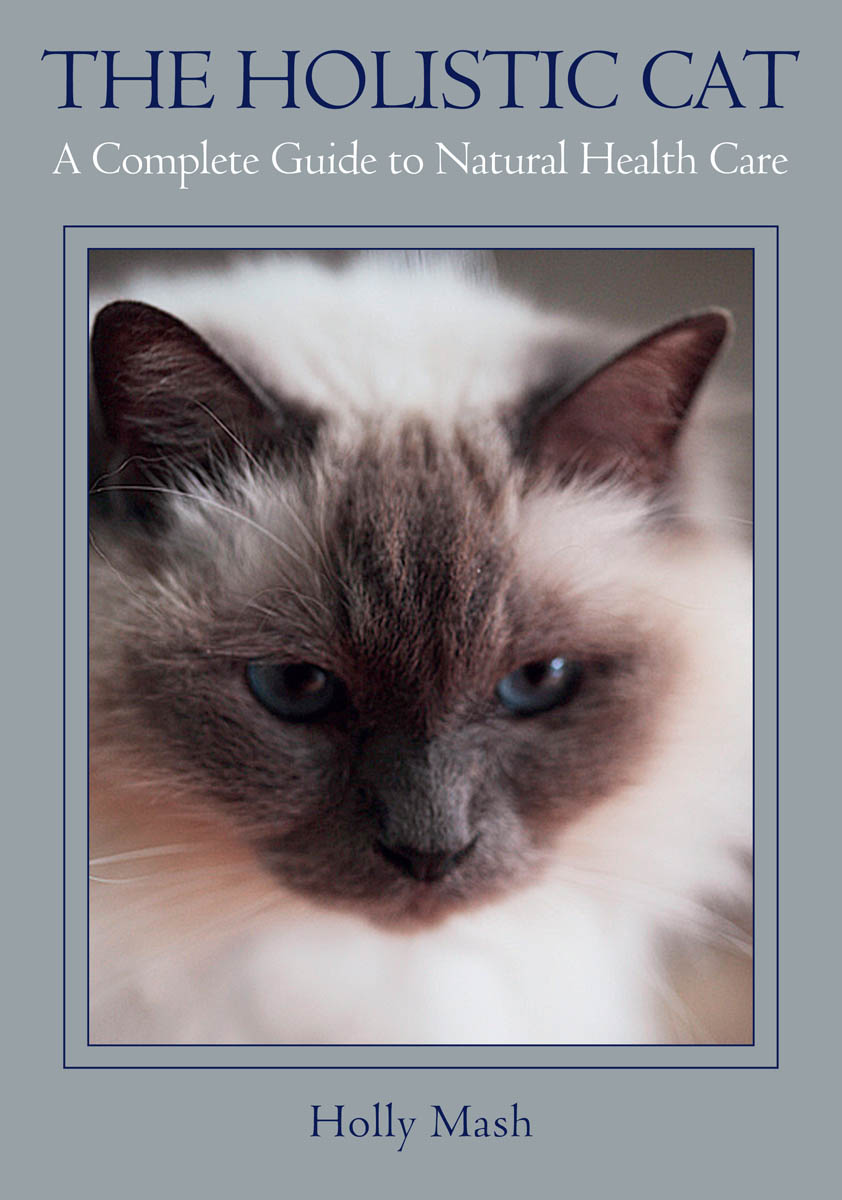 The Holistic Cat a Complete Guide to Natural Health Care - image 1