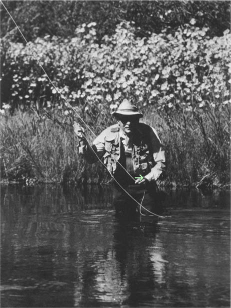 The author practicing what he preaches on Idahos famed Silver Creek - photo 2