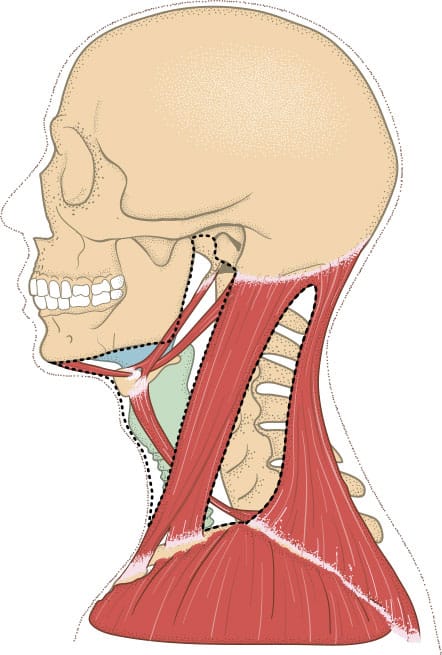 INTRODUCTION The human body is a wondrous structure and learning how it works - photo 3