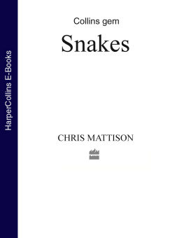 Mattison - Snakes