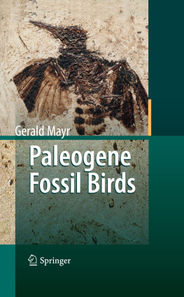 Mayr - Paleogene Fossil Birds