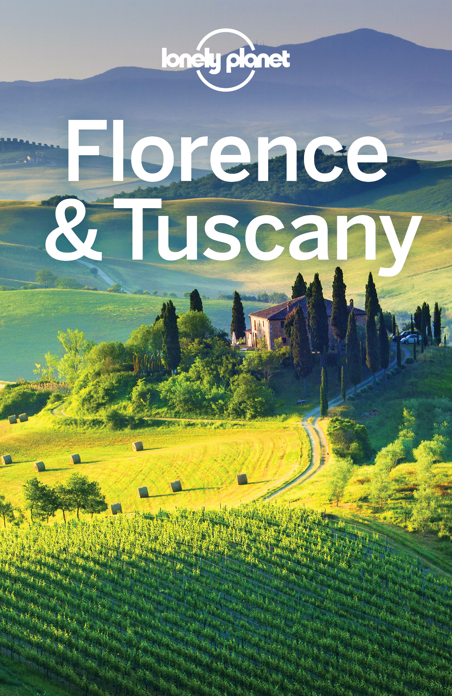 Lonely Planet Florence Tuscany - image 1