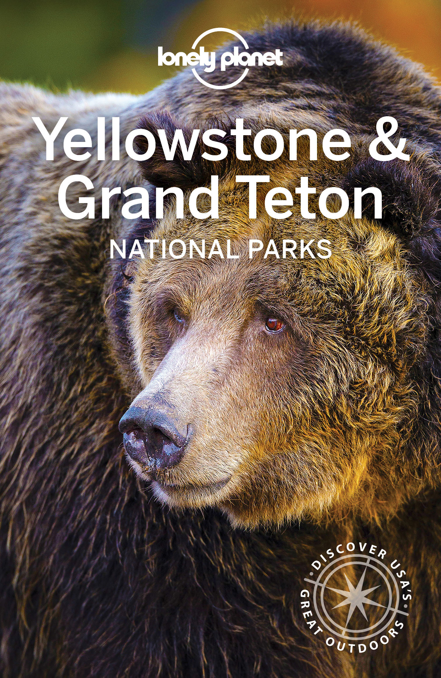 Lonely Planet Yellowstone Grand Teton National Parks - image 1