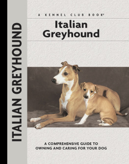 Mazzanti Italian Greyhound