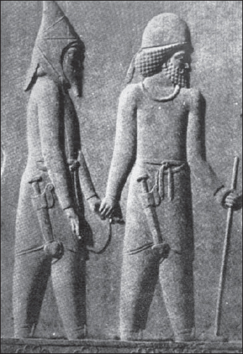 Persian right and Mede left Achaemenean noblemen at Persepolis The - photo 3