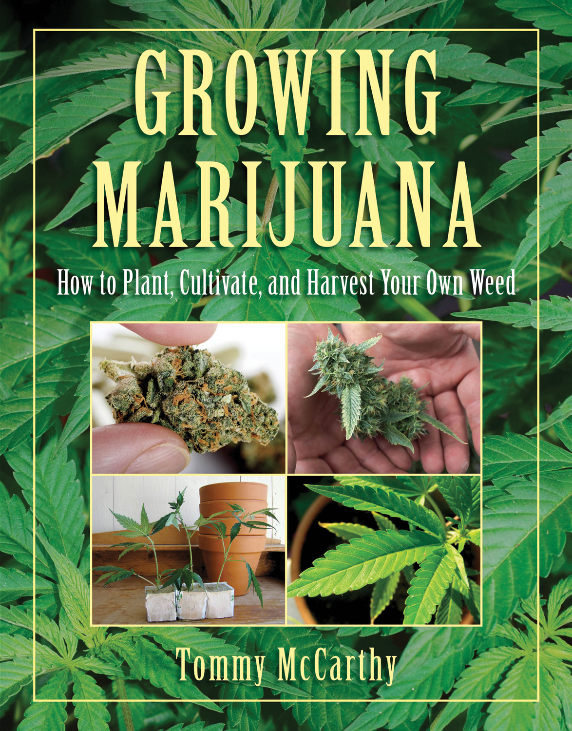 Table of Contents Cannabis Growers Resource Guide On the presumption - photo 1