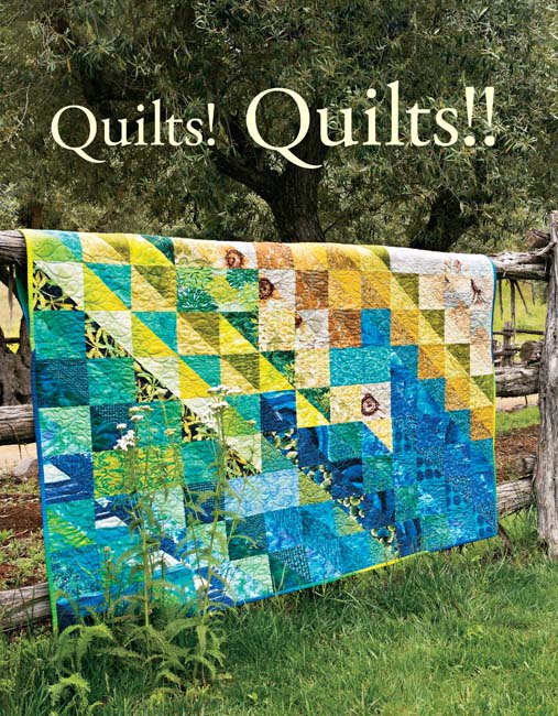 Library of Congress Cataloging-in-Publication Data McClun Diana Quilts - photo 2