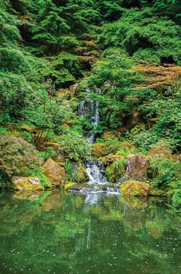 Portland Japanese Garden mural created by Forest for the Trees - photo 6