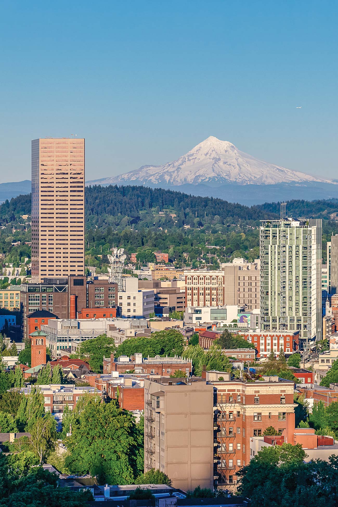 downtown Portland Wander Green Spaces Portland is a lush urban - photo 9