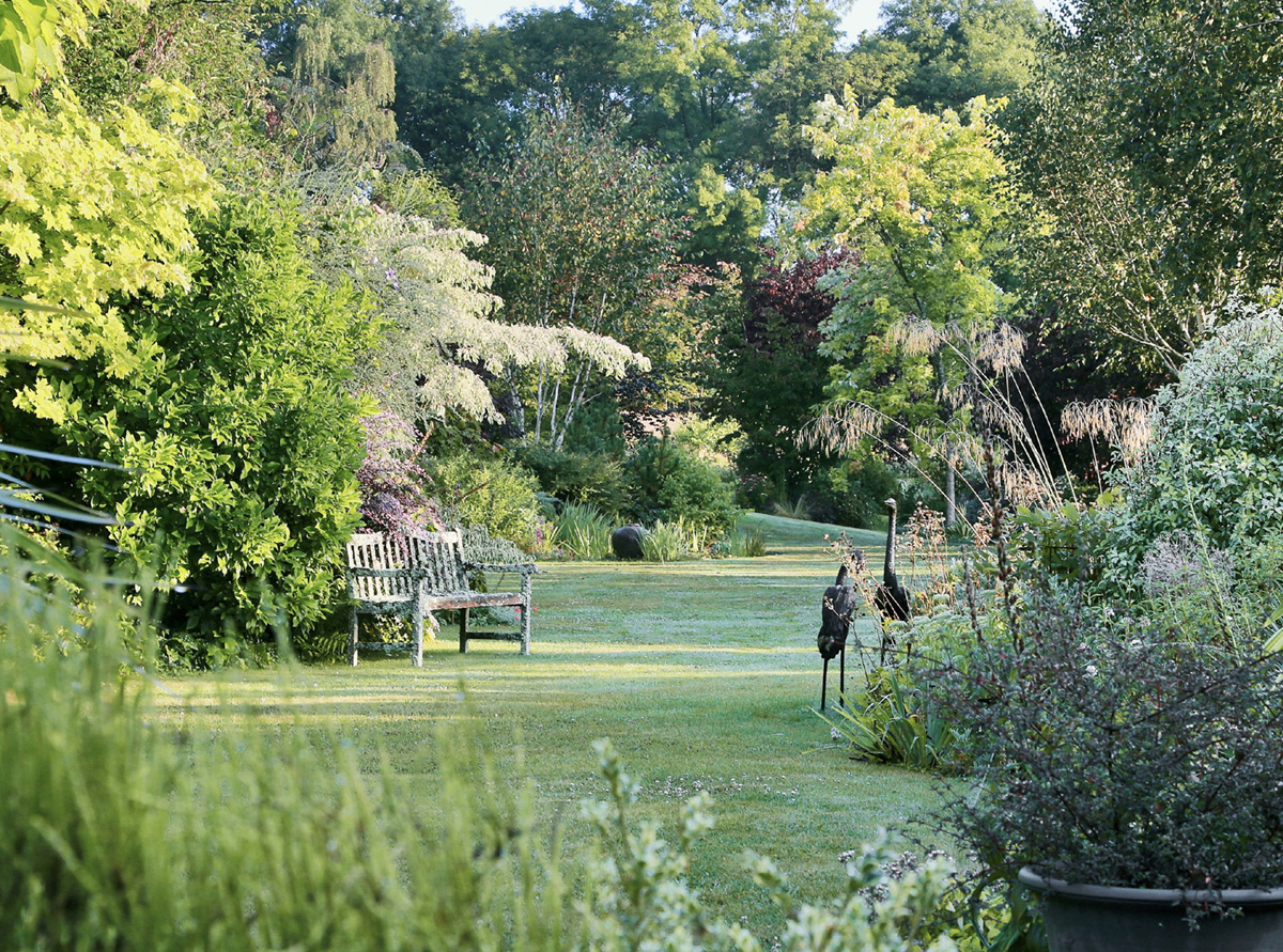 Our garden at Sandhill Farm Hampshire UK contains a variety of shrubs and - photo 2