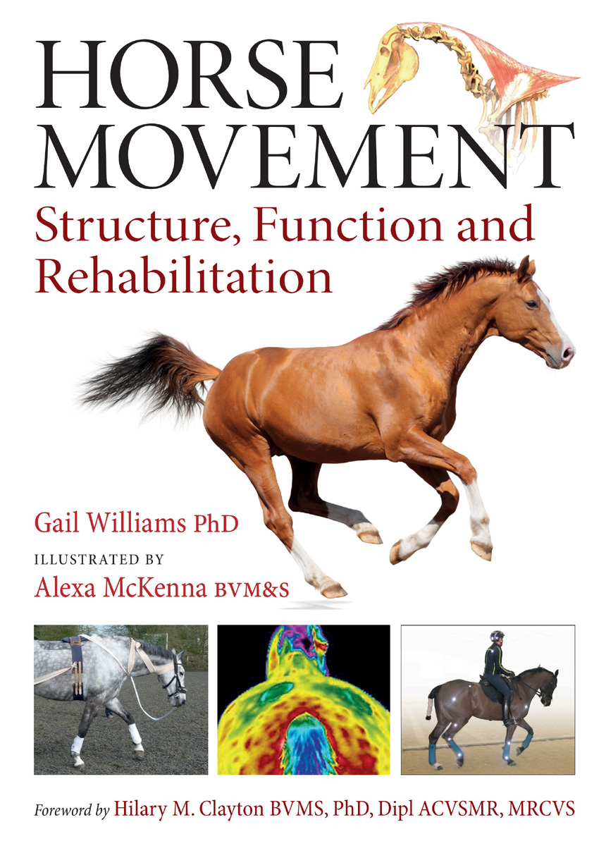 HORSE MOVEMENT Structure Function and Rehabilitation HORSE MOVEMENT Structure - photo 1