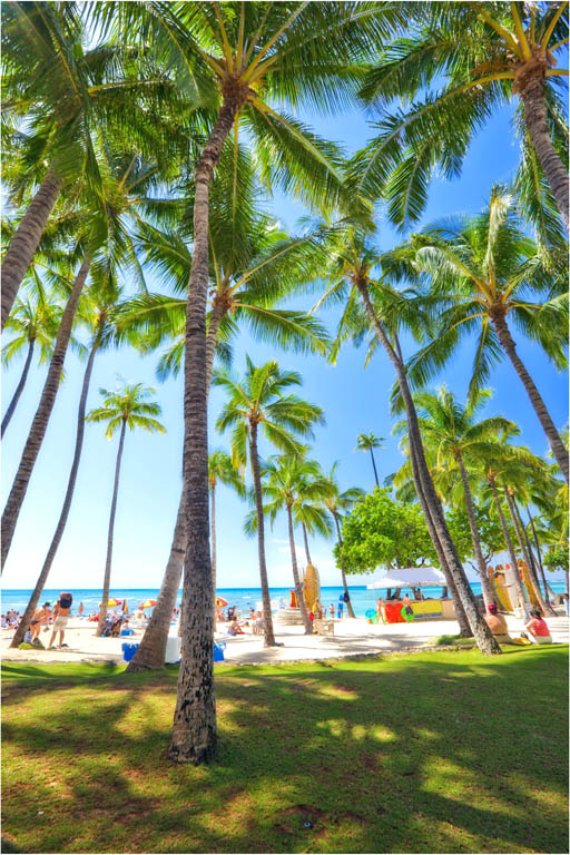 Waikiki Beach DHOXAXSHUTTERSTOCK HonoluluTop Sights Kuhio Beach Kuhio - photo 5