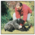 Begin with the basics of training the puppy and adult dog Learn the principles - photo 7