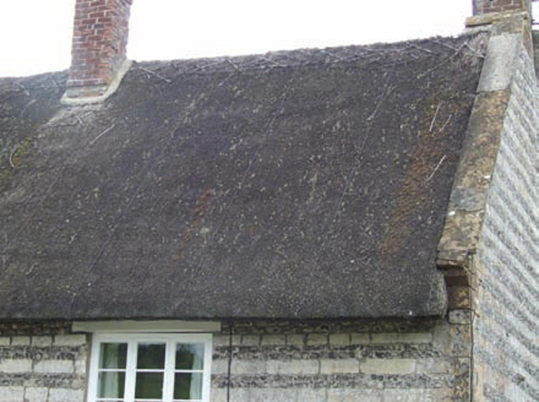 The simplest of all thatches to model flat plain cap with ends hidden by - photo 1