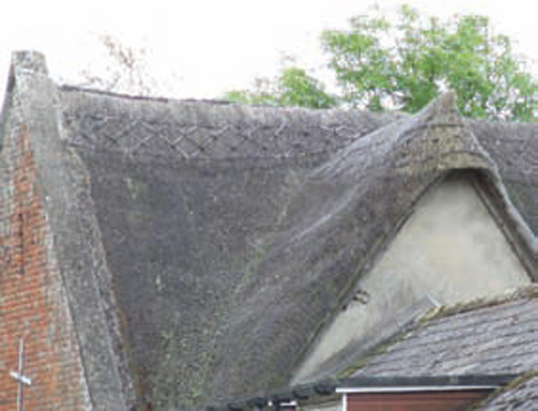 This lateral gable has its verges joined by a flush rounded cap which is - photo 3