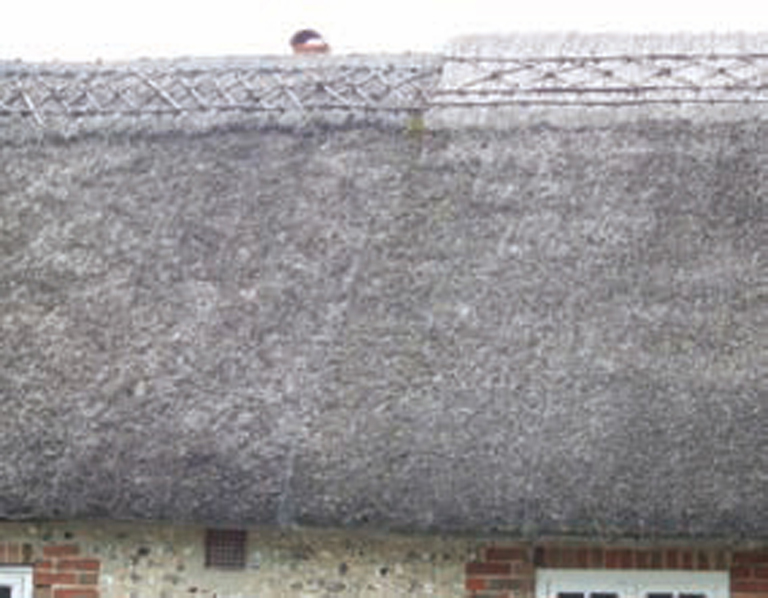 Two contiguous combed wheat thatches of similar age at a property boundary - photo 6