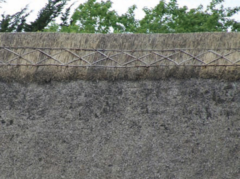 A much paler almost fawn-coloured cap sits here above a browny-grey thatch - photo 9