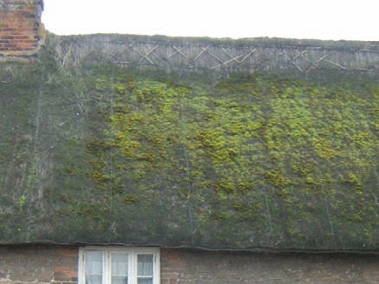 This old thatch has been around for a while and lost about half of its cross - photo 10