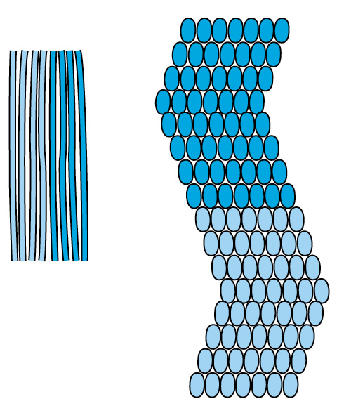 To begin tie 4 rows of Right Knots with color A the knots will lean to the - photo 12