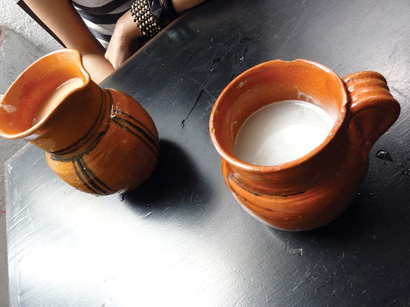 Pulque This fizzy fermented beverage made from the sap of the maguey cactus - photo 18