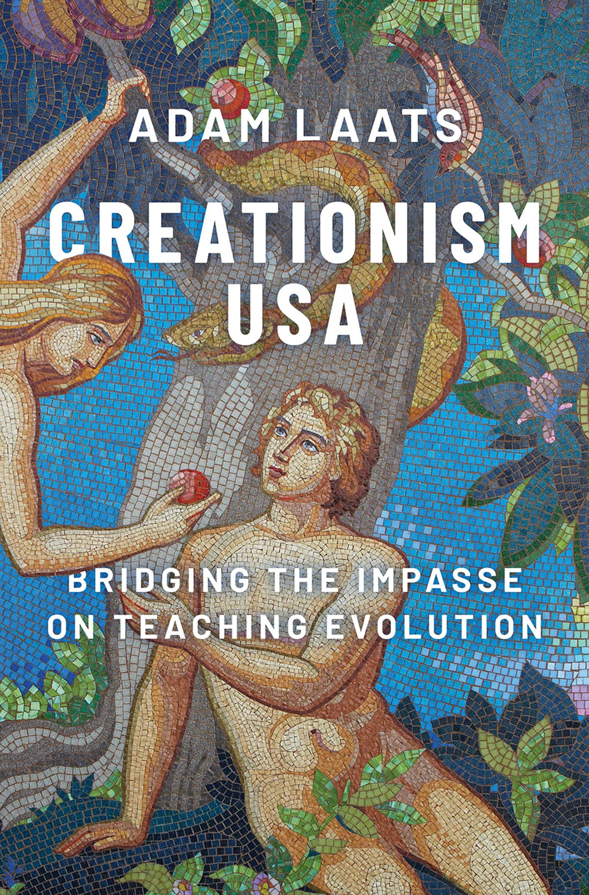 Creationism USA - image 1