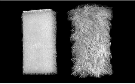 If you fold the swatch from side to side you can see that the fur tends to lay - photo 13