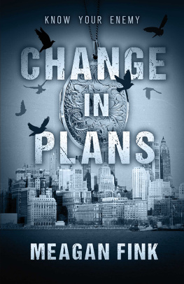 Meagan Fink Change in Plans