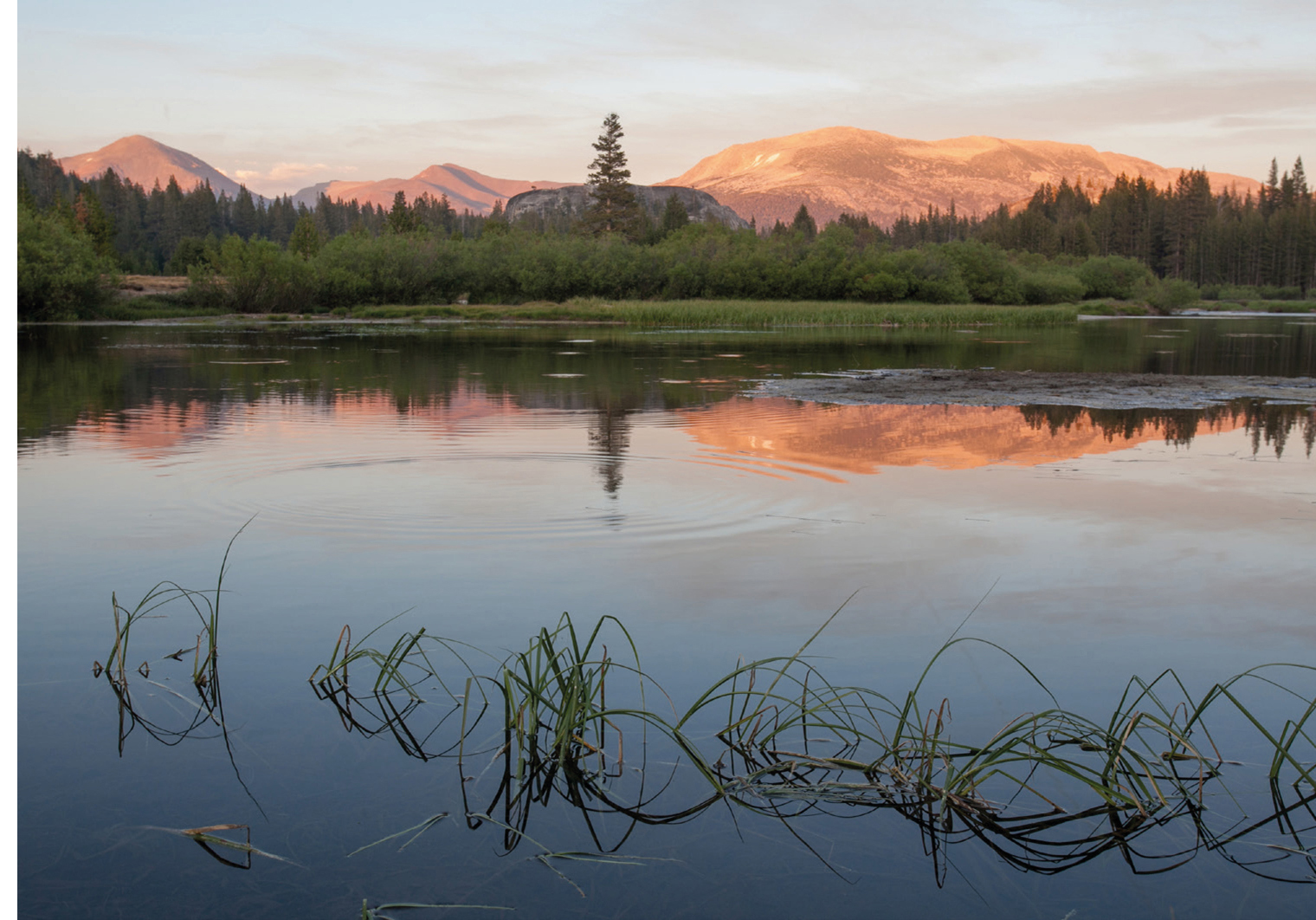 Summer beauty in Tuolumne Meadows Summer sunrise at Tunnel View Yosemite - photo 10