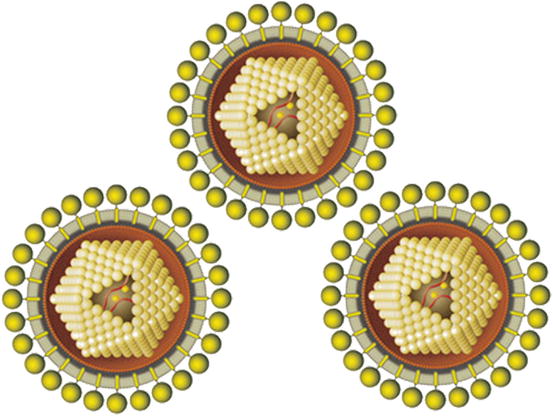 Fig 11 Diagrammatic representation of the tick-transmitted Spring-summer - photo 1