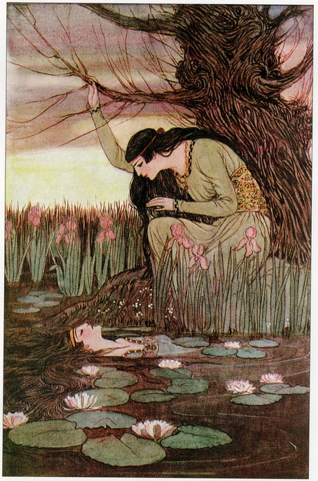 The Marsh Kings Daughter The Wild Swans and Other Stories ELENORE ABBOTT - photo 8