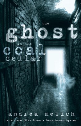 Mesich - The ghost in the coal cellar: true case files from a lone investigator