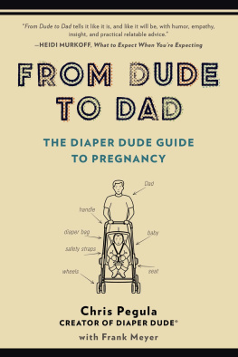 Meyer Frank - From dude to dad: the diaper dude guide to pregnancy