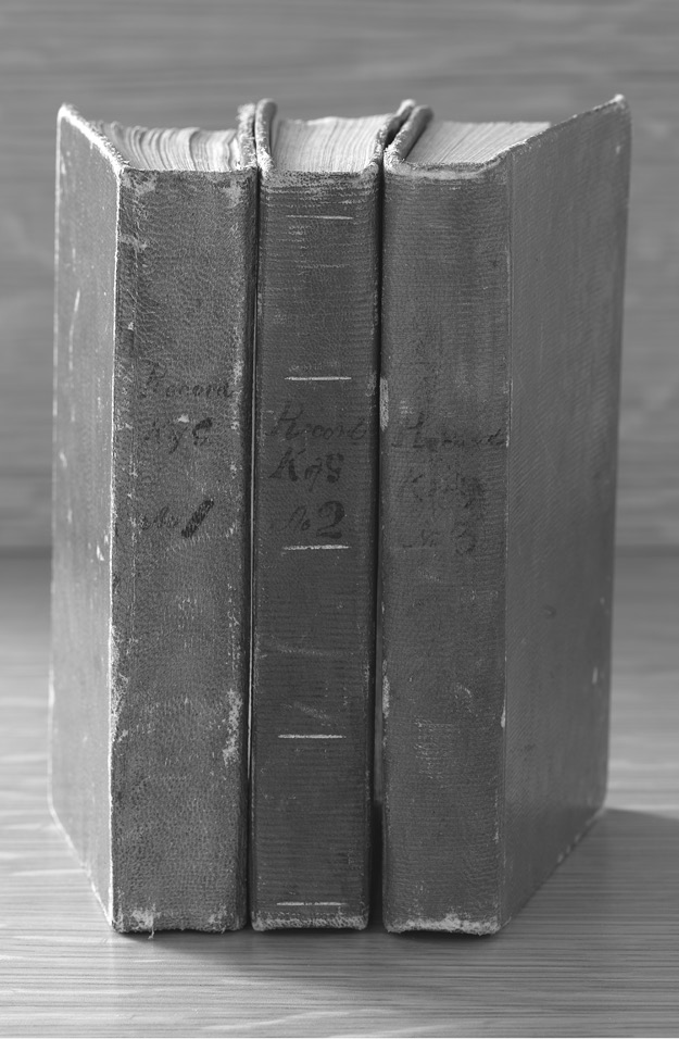 These three small record books contain William Claytons minutes of the Nauvoo - photo 2