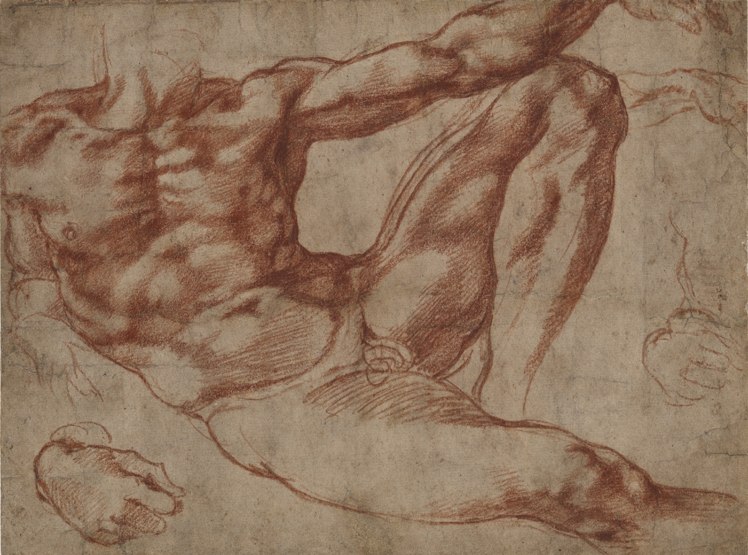 FIGURE 1 Michelangelo study for Adam red chalk 190 x 237 mm 77 x 93 - photo 8