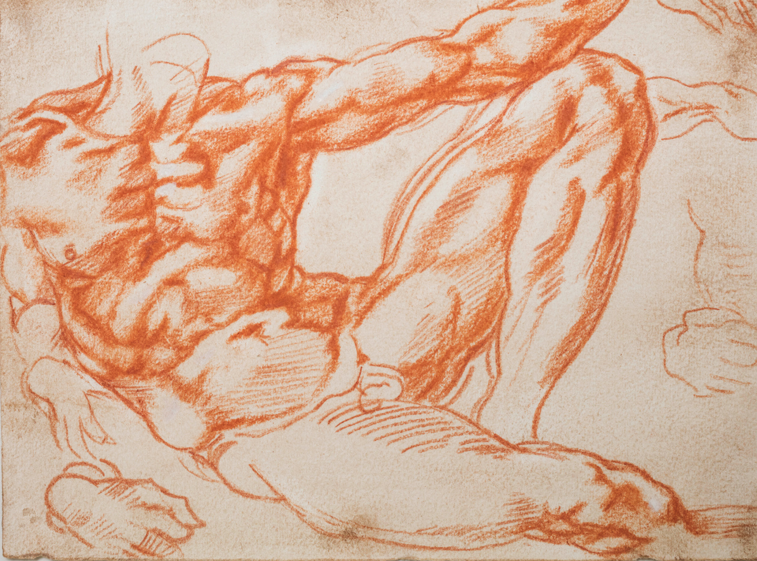 FIGURE 2 Alan Pascuzzi copy after Michelangelo study for Adam red chalk - photo 9