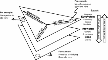 Fig 11 The contemporary definition of biodiversity embraces three aspects of - photo 1