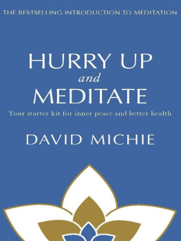 Michie - Hurry Up and Meditate