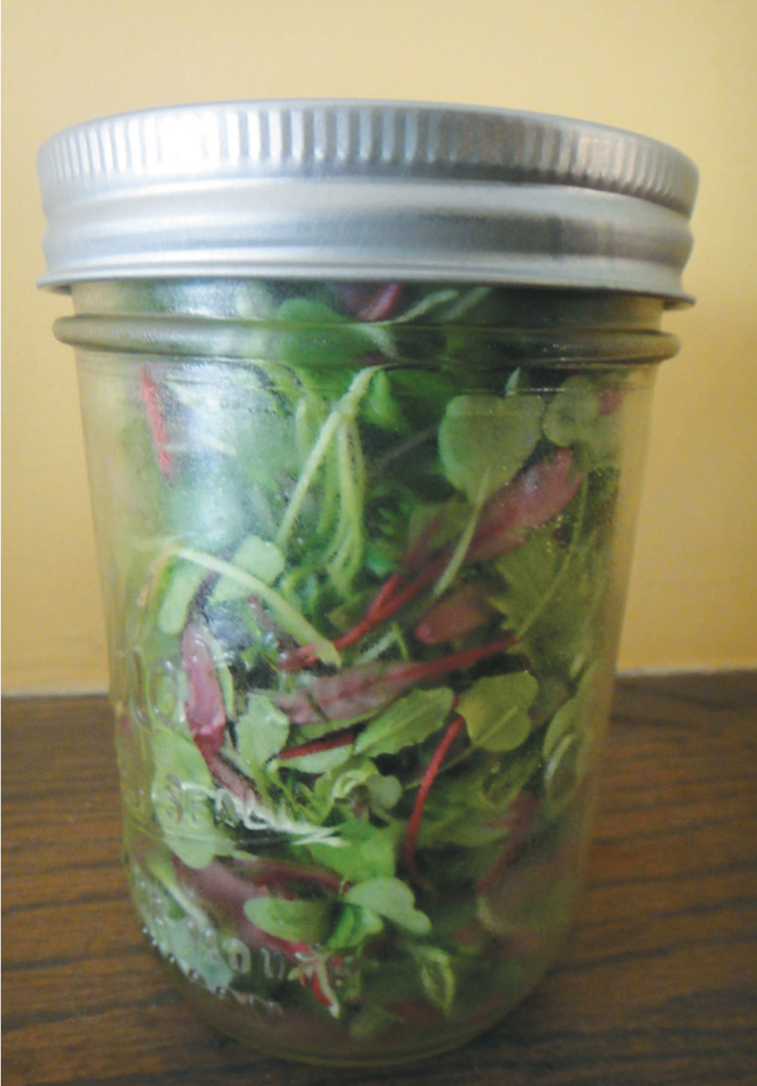 A jar full of a blend of spicy microgreens is weighed and prepared to be sent - photo 7