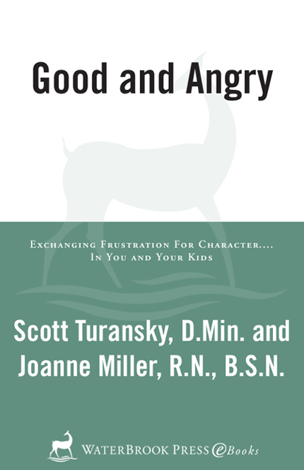 Praise for Good and Angry Good and Angry is a great book on how to use our - photo 1