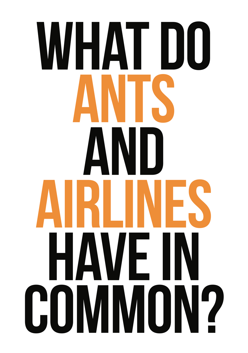 Why was an ant-based simulation a good idea for Southwest What do ants and - photo 2