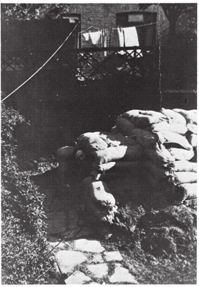 The air-raid shelter my mother built for the family The face is my fathers - photo 4