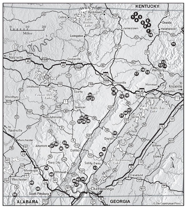 Preface My first encounters with the Cumberland Plateau the wide tableland cut - photo 5