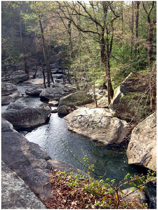 Massive boulders litter Richland Creek in the Laurel Snow Wilderness - photo 6