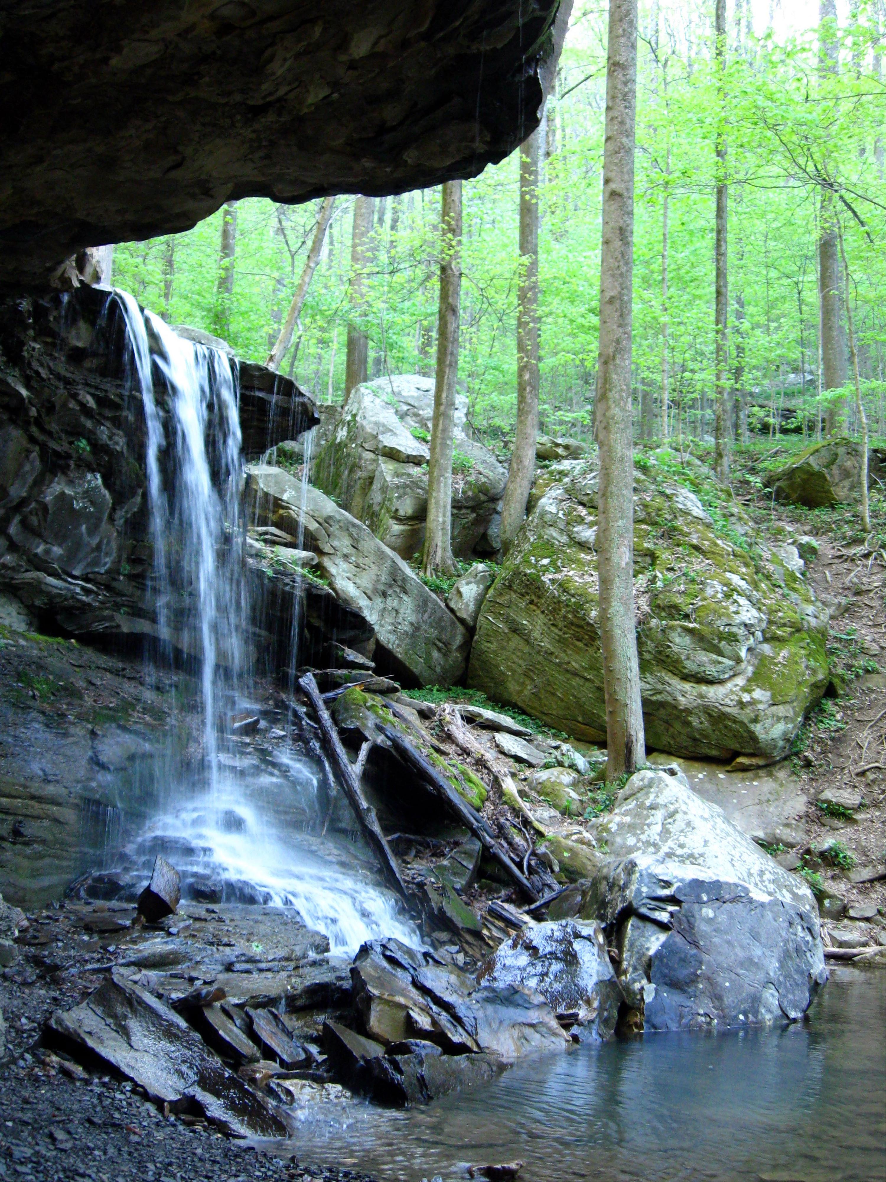 Five-Star Trails Knoxville Your Guide to the Areas Most Beautiful Hikes - photo 4