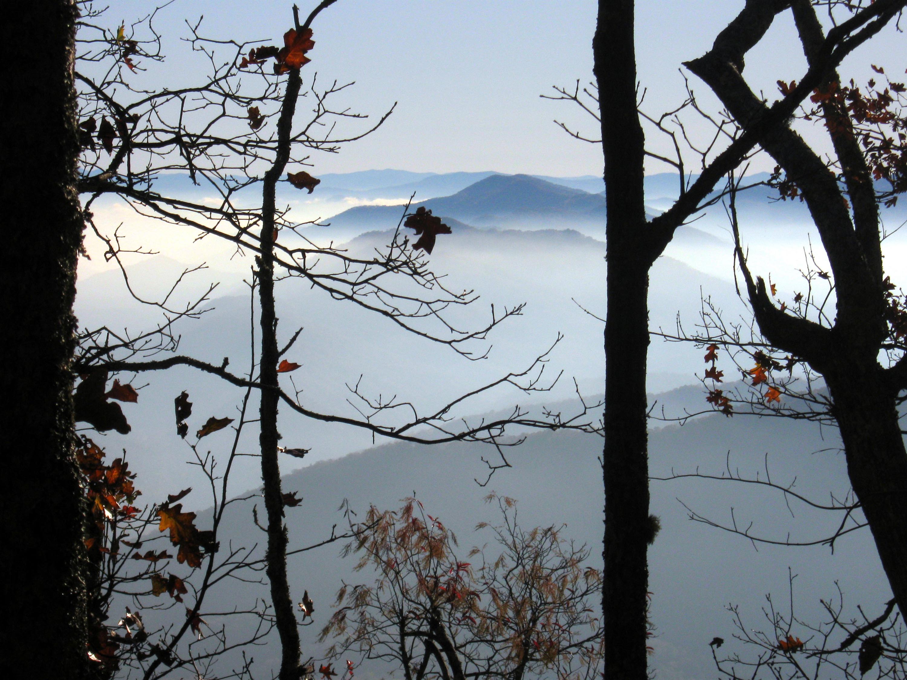 THE SOUTHERN APPALACHIANS RISE PROUDLY ABOVE KNOXVILLE Preface Knoxville is - photo 6