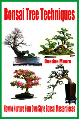 Moore Bonsai Tree Techniques: How to Nurture Your Own Style Bonsai Masterpieces