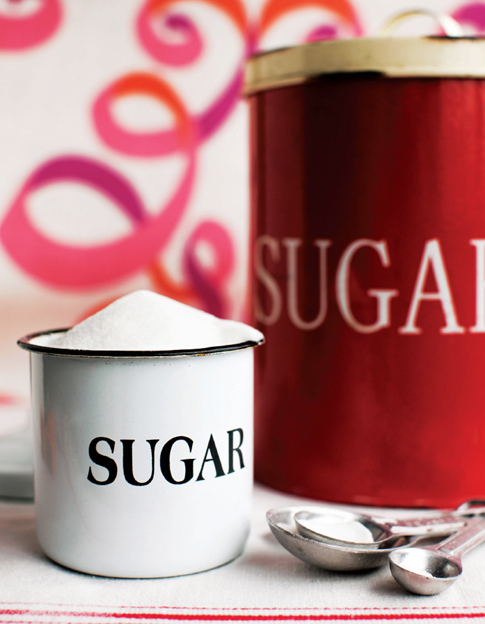 Sugar Sugar copyright 2011 by Kimberly Reiner and Jenna Sanz-Agero Photograph - photo 3