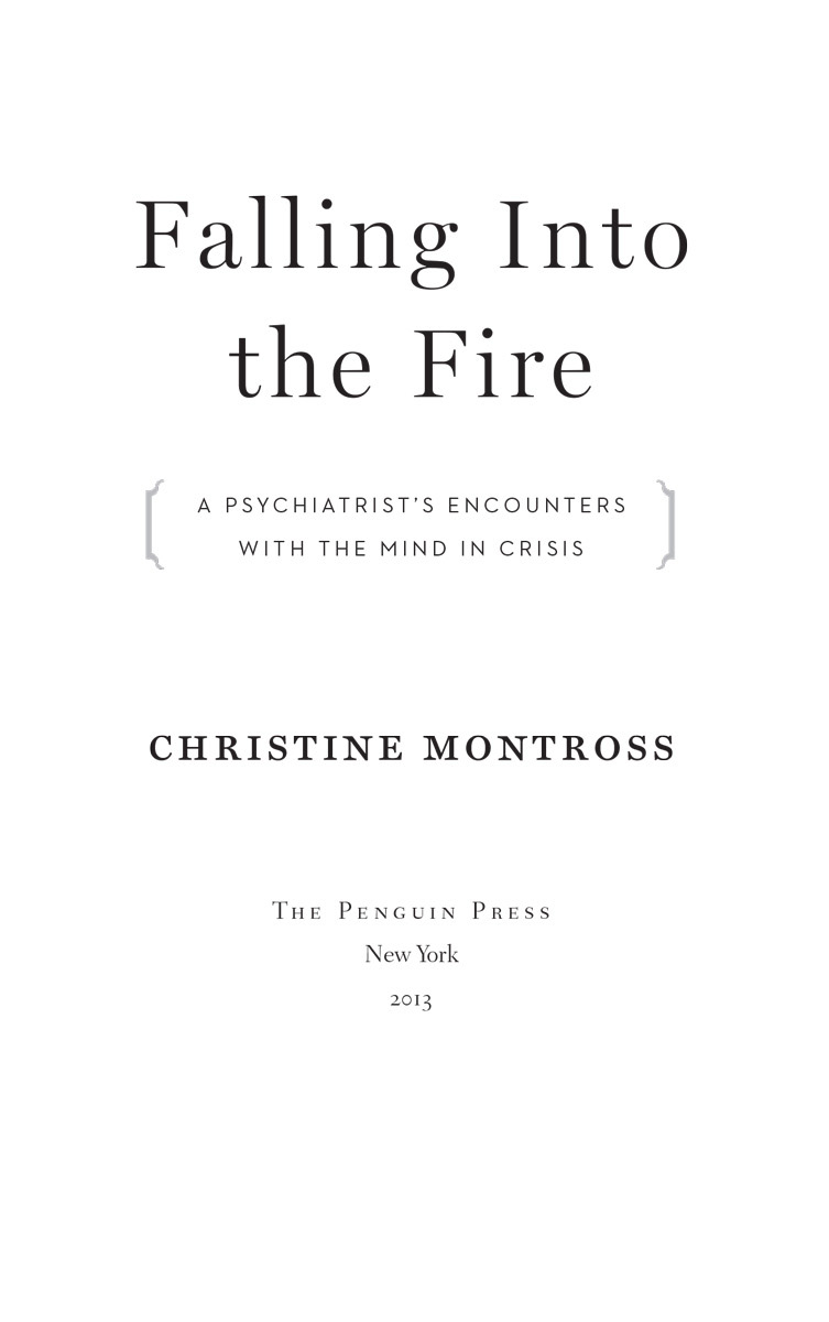 Falling into the fire a psychiatrists encounters with the mind in crisis - image 2